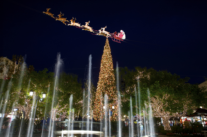 28 best christmas tree rental los angeles luxury 28 best christmas tree rental los angeles luxury