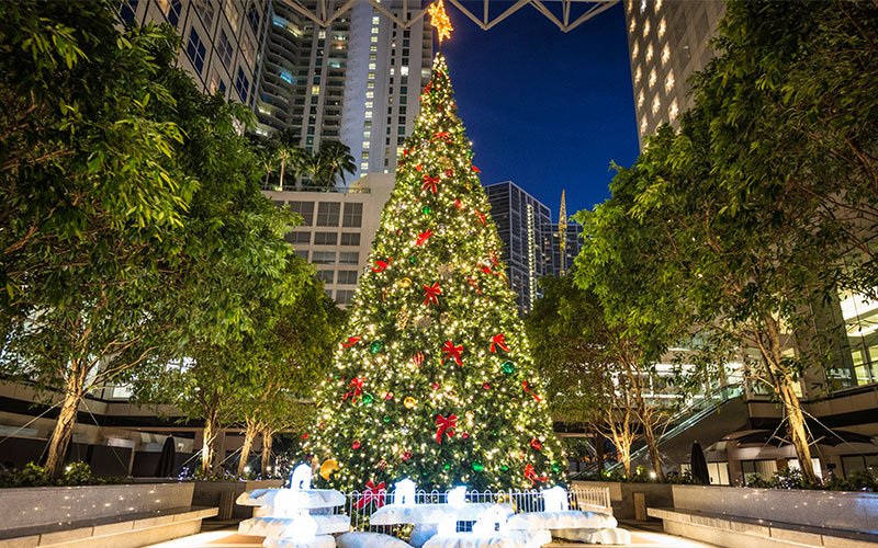 Explora la Florida más festiva en Navidad