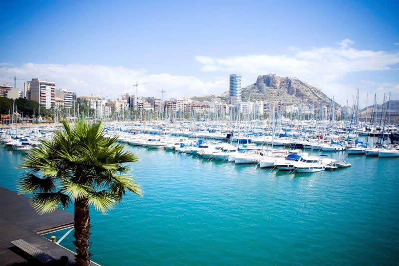 our city guide to